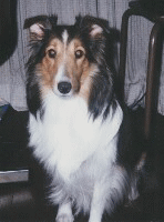 bell00040000.jpg